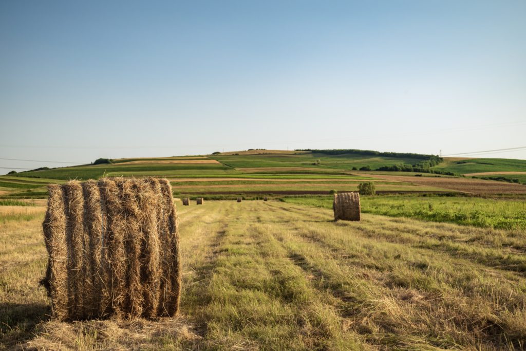 photo-of-hay-rolls-on-grass-field-2600222